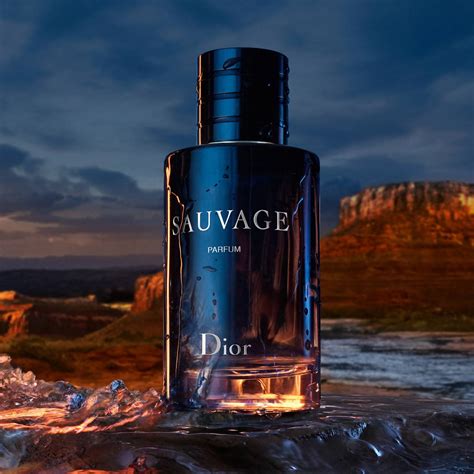 dior eau savage 100 ml|dior sauvage parfum prix.